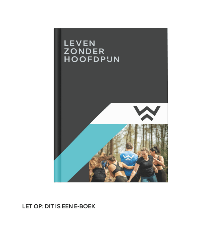 leven zonder hoofdpijn e-boek